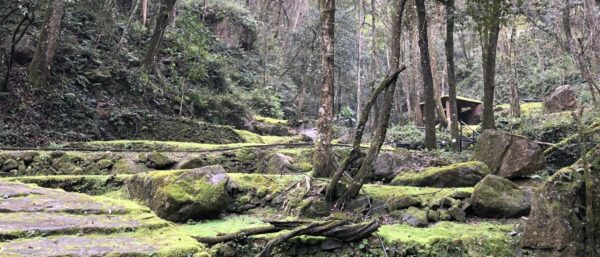 Nine Rivers Distillery in the heart of Fujian Province