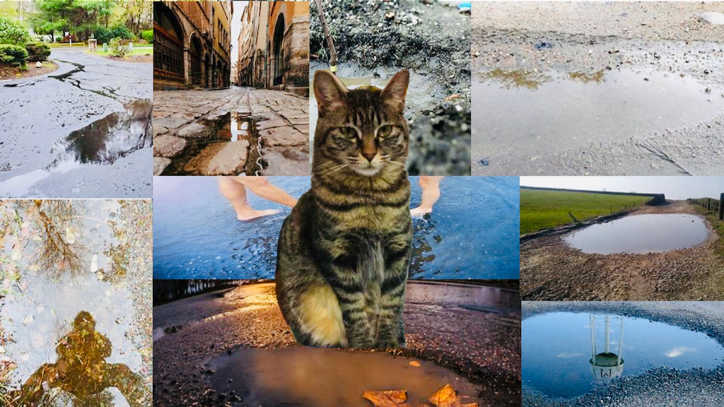 9 Puddles and a Moggy in our Cask Owners Club