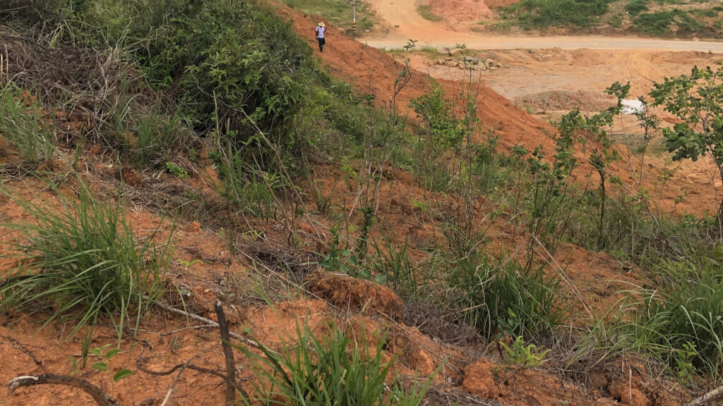 Xiao Shun Chen - surveying land in Fujian