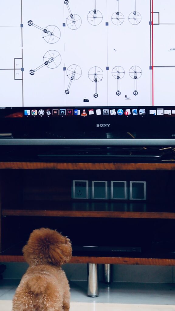 迷你贵宾犬马菲主导了我们的蒸馏器布局研讨会
